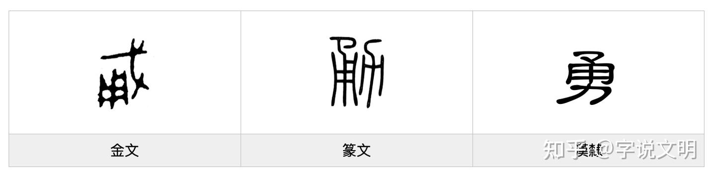 勇——每日一字·力部字 - 知乎