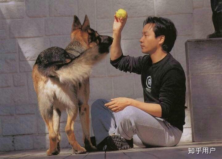 你觉得张国荣哪张照片最帅最美?