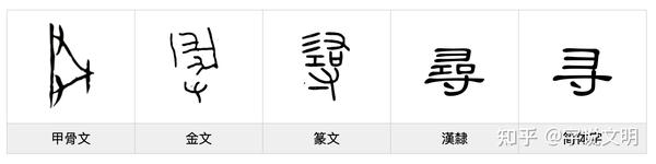 寻——每日一字·寸部字 - 知乎