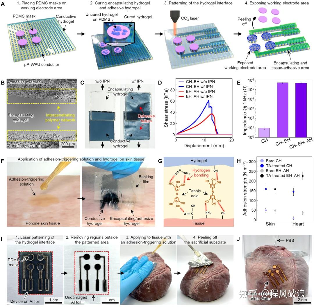 Science Advances|水凝胶重塑心脏生物电子接口,“贴”在跳动心脏上的电子器件 - 知乎