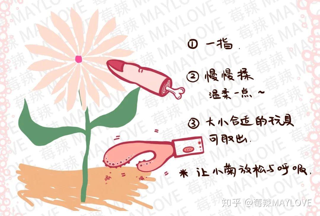 如何探索菊花奥秘,正确走后门