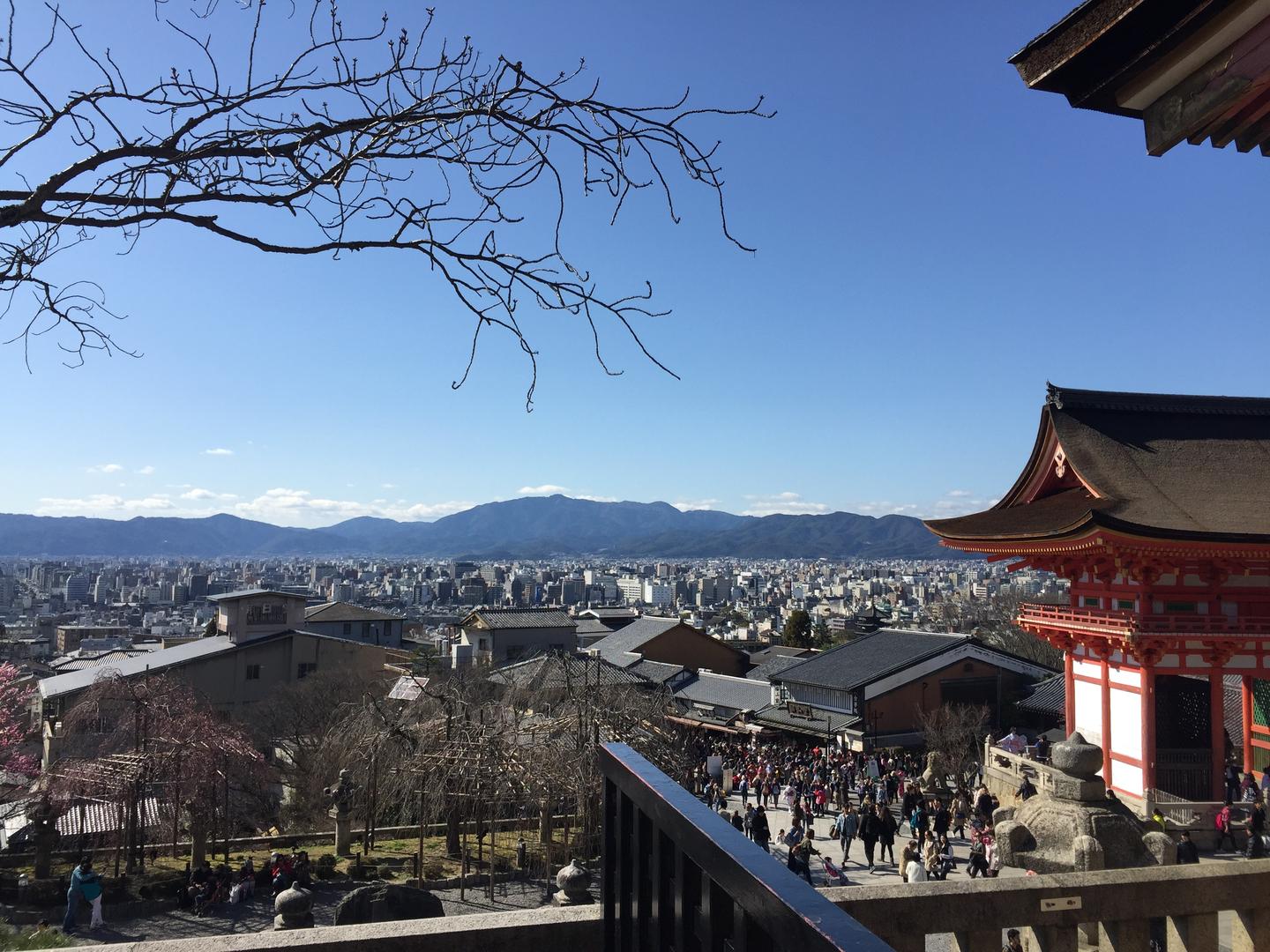 买日本公寓前的必做功课 正确理解管理费和修缮费 知乎