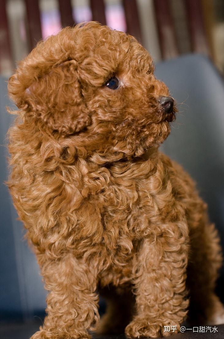 731_1103竖版 竖屏