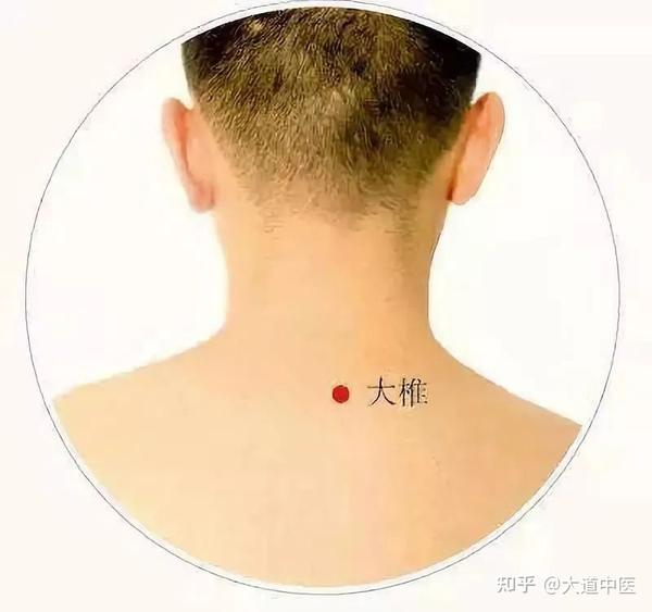 针灸的临床实用配方：先认穴再下针，针灸各穴配位方法 - 知乎