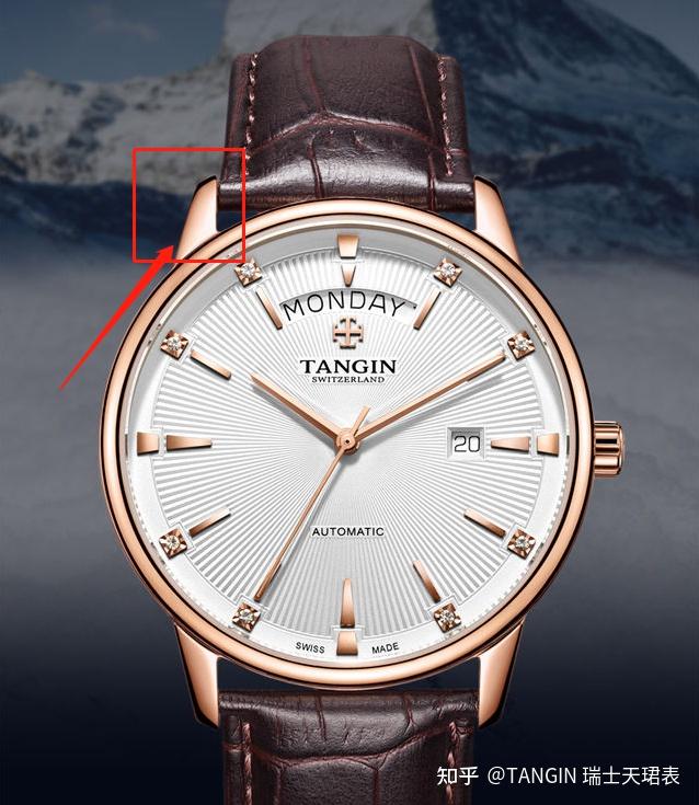 表耳是表壳非常重要的组成部分,是怀表向手表演变过程中非常重要的