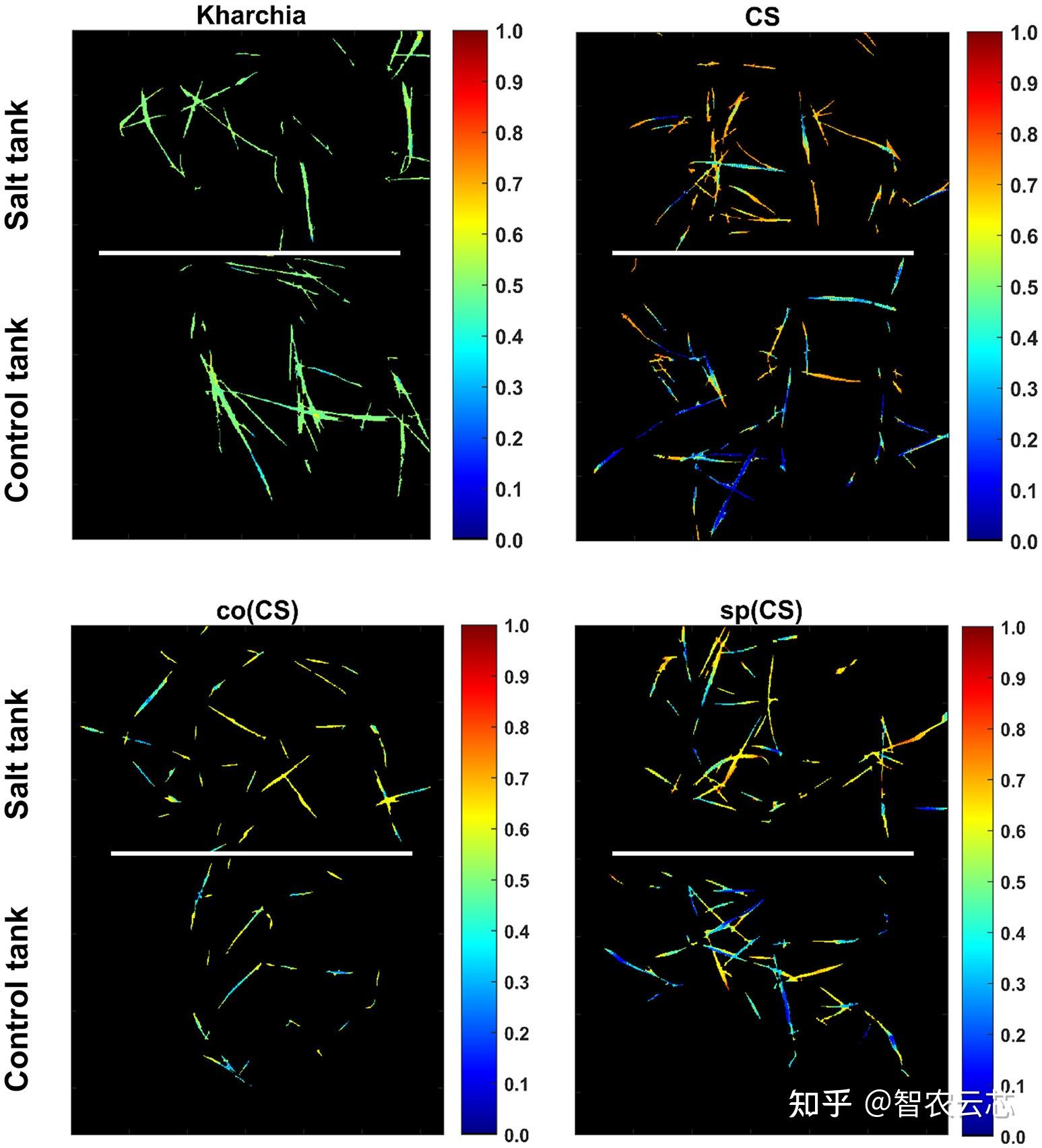 基于高光谱成像技术对小麦进行语义分割的研究