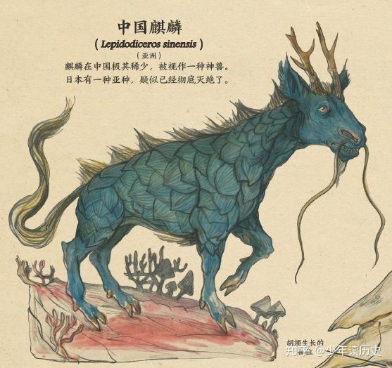 《变形动物图鉴》主要是那些能够变形的生物,比如狼人,青蛙王子