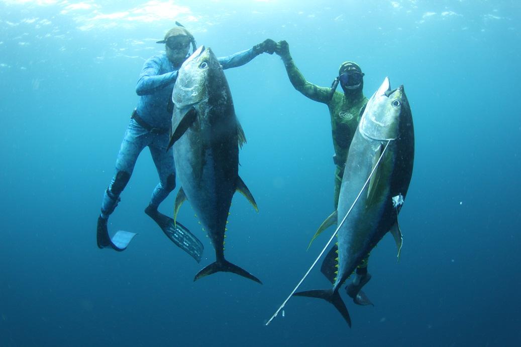 每个人都可以像鱼一样自由潜在水中