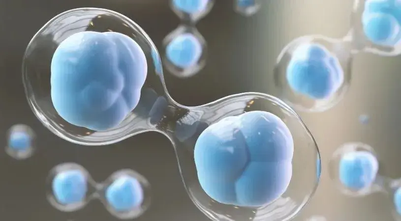 饮食还能让基因突变