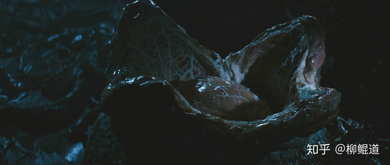 [alien]异形(1979) - 知乎