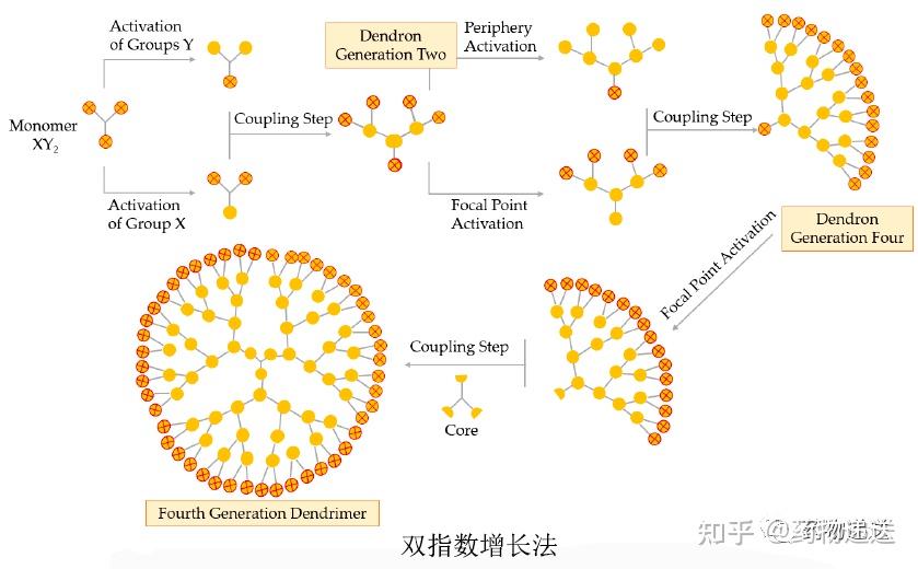 药物递送(四)——树枝状大分子技术 - 知乎