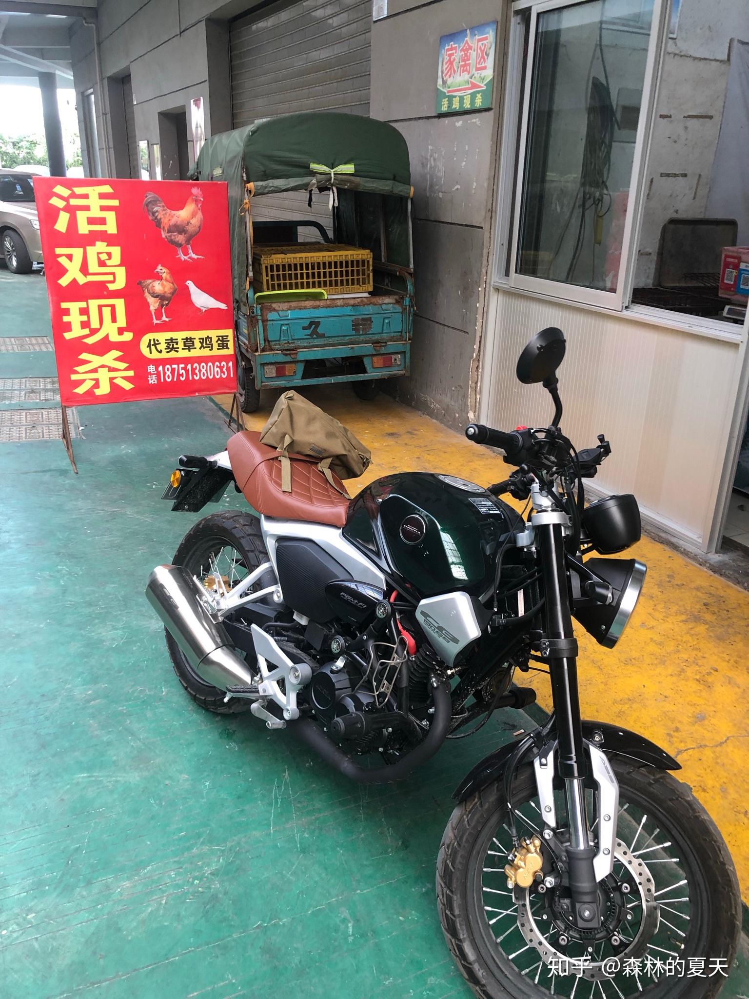 爱上本田自由50，鸷道190ss - 知乎