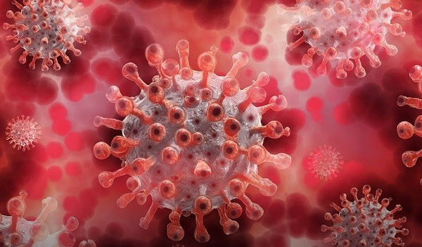 英国变异病毒引发封锁断航2021年疫情平复还有希望吗