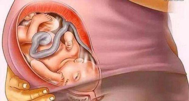 一组图了解十月怀胎的全过程难怪说每个妈妈都是超人