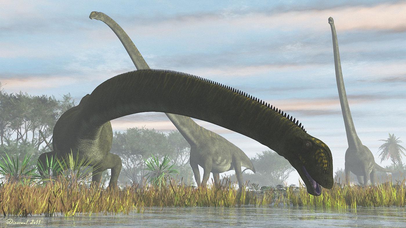 人类发现的最大的恐龙有多大？ - 知乎