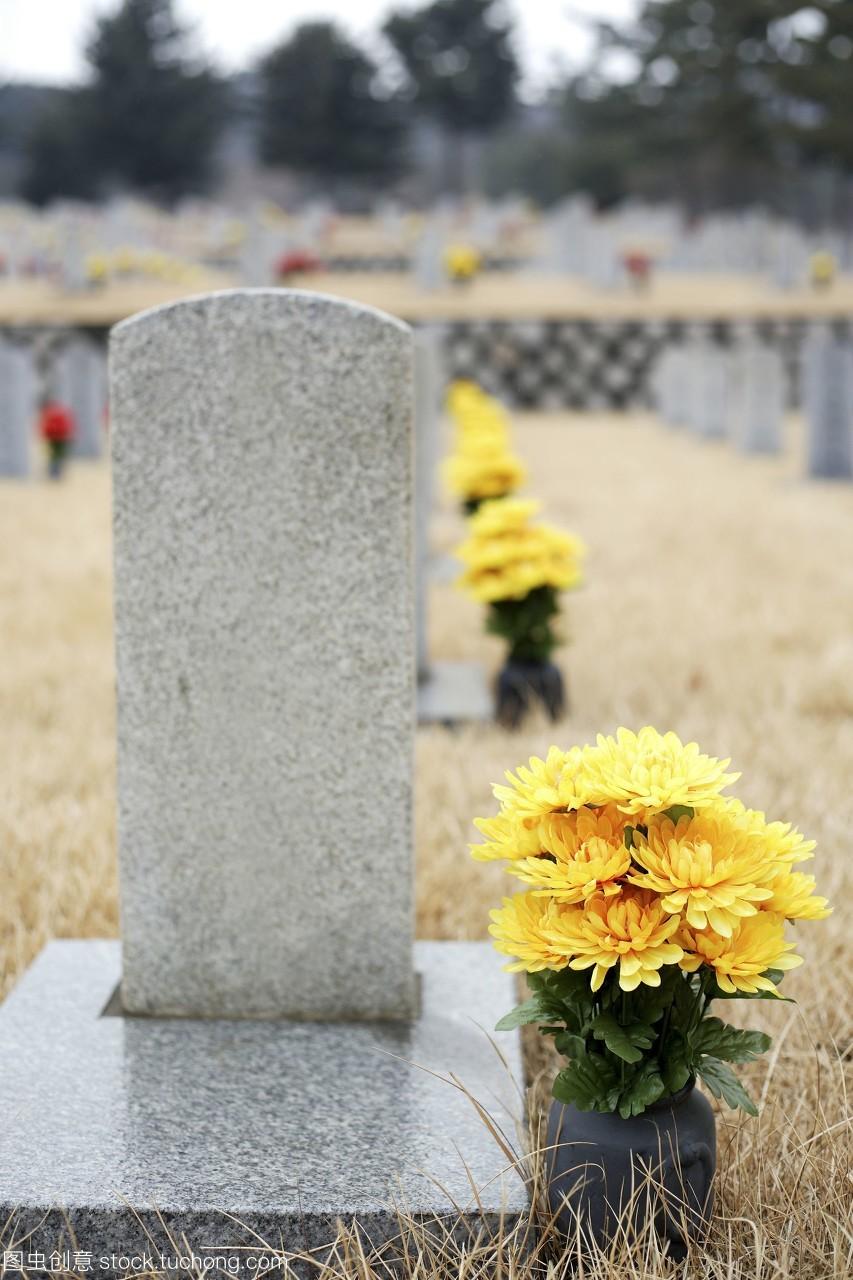 为什么大家喜欢在墓前放菊花 知乎