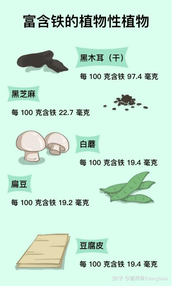 除了服用铁剂还要吃富含铁的食物