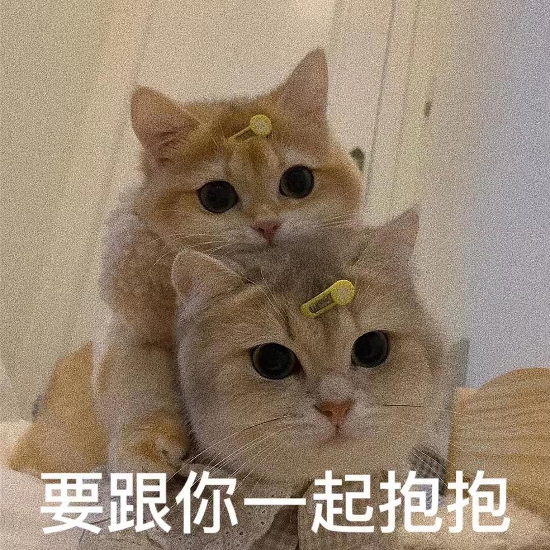调戏对象的表情包
