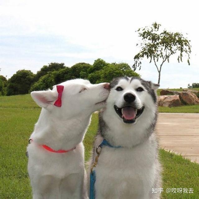 v2-f7ce5c0c2701089465f3aad4fdd60331_r.jpg