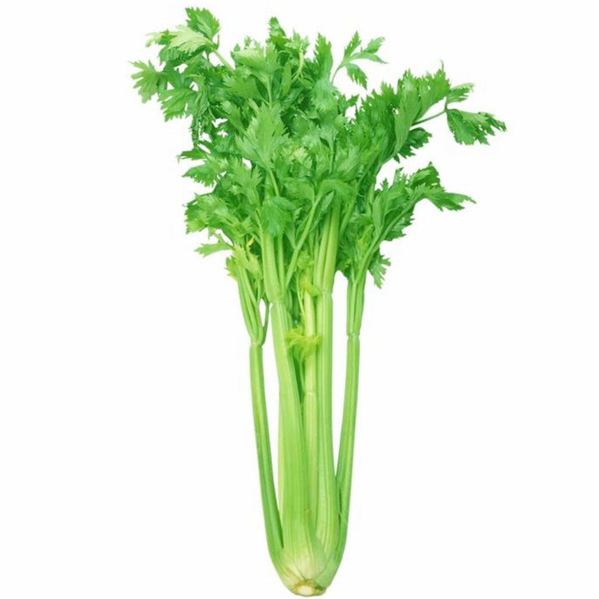 吃什么会变黑蔬菜 v2-f7d4d7121255ffb4f5e9cc6faf250ac9_r.jpg