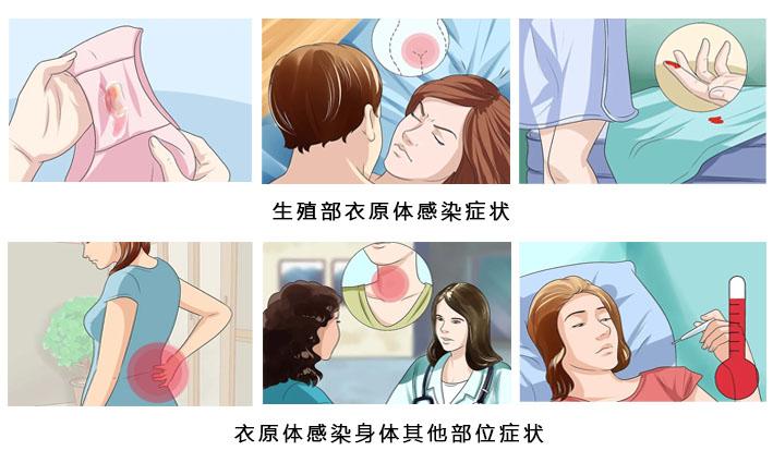 沙眼衣原体确实为什么是性传播?