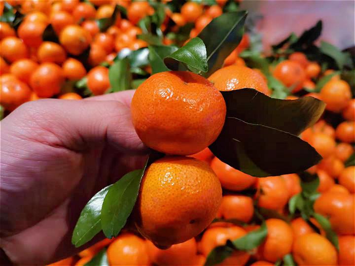 v2-f7de4ed5084386c006de4896e1d6e5b0_1440w.jpg?source=172ae18b