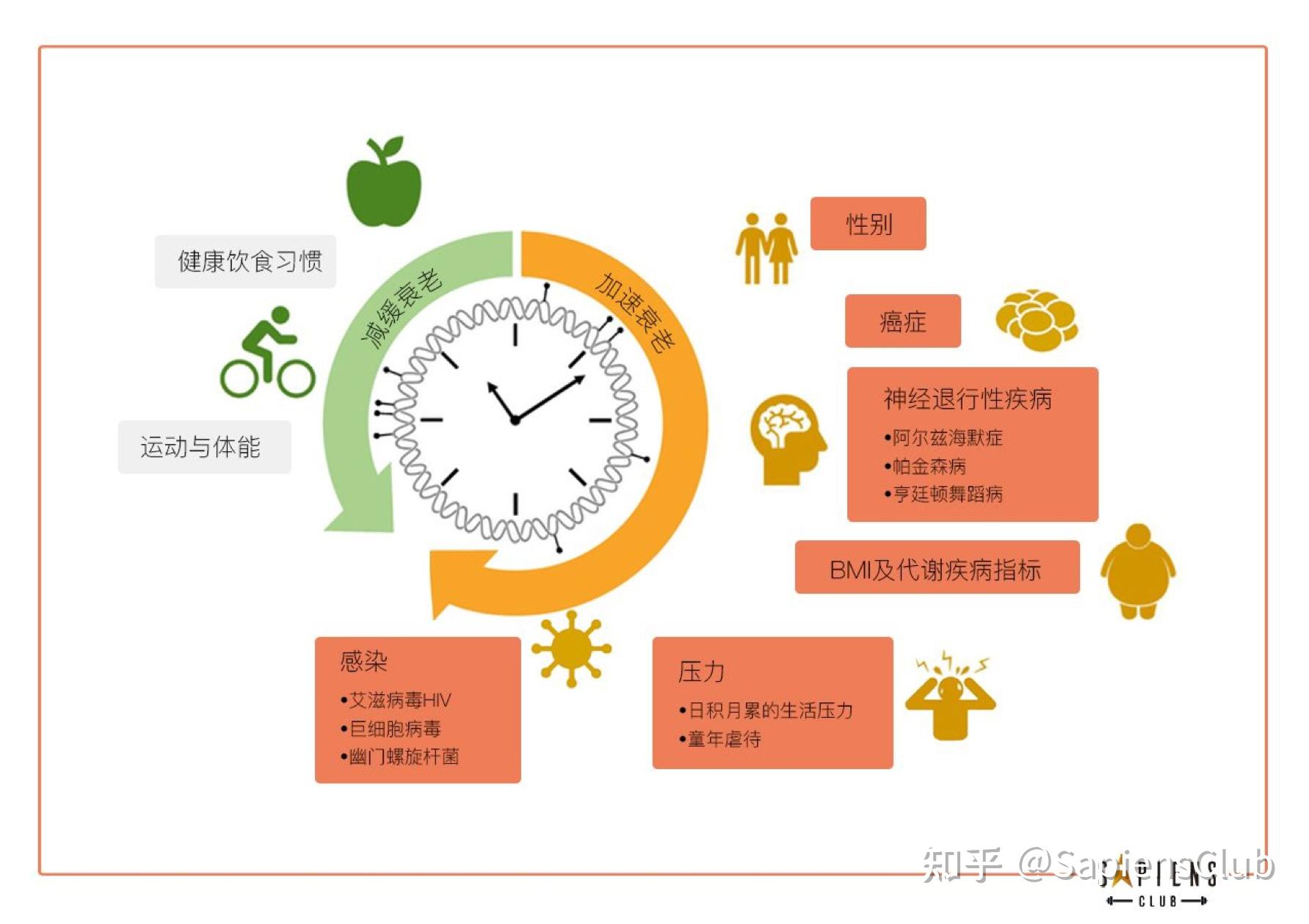 你的生理年龄和实际年龄匹配吗