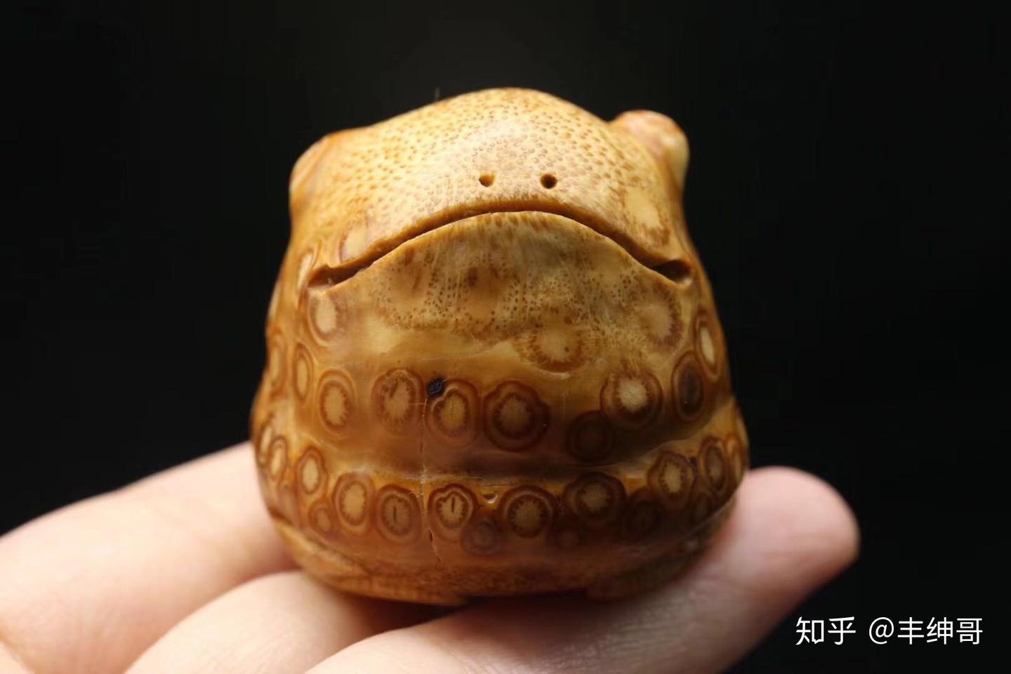同样是竹根金蟾细节会有这么大的差别- 知乎