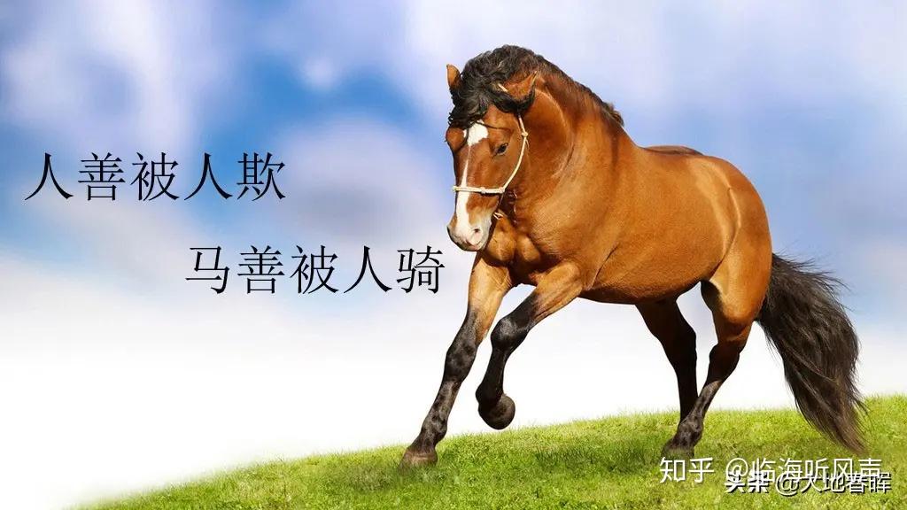 v2-f7eb42b5ae4e08840bdc31d1875860e1_r.jpg
