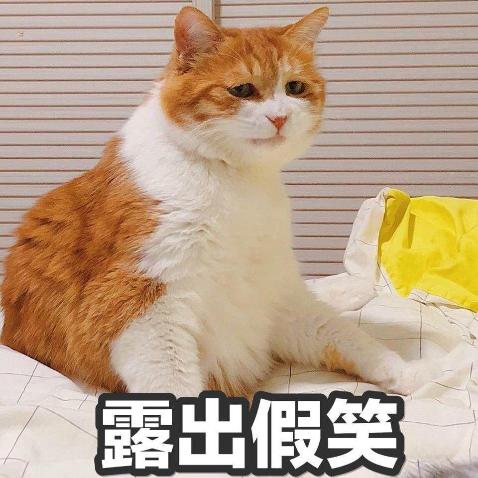 人在状态好和状态不好的情况下被拍下的照片有