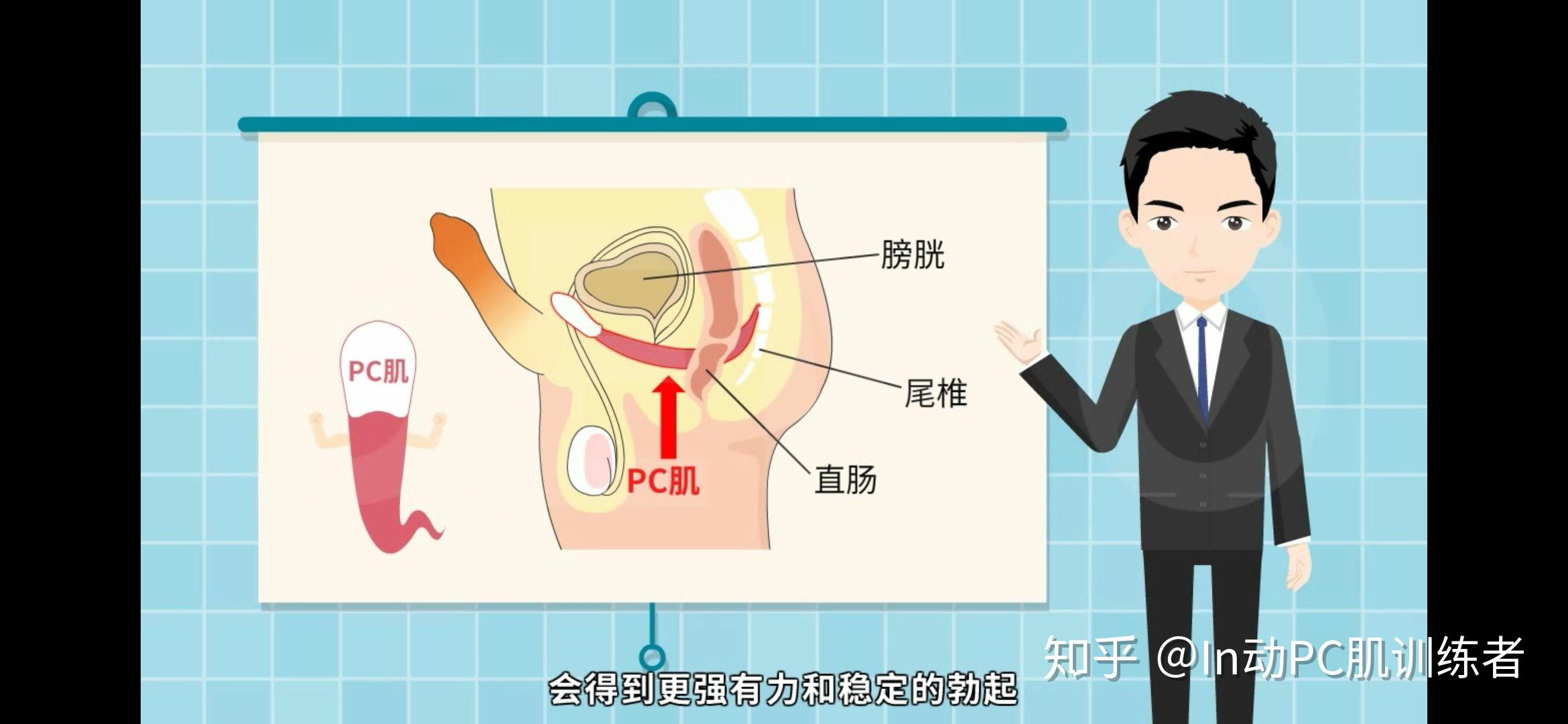pc肌锻炼与提肛的区别在哪