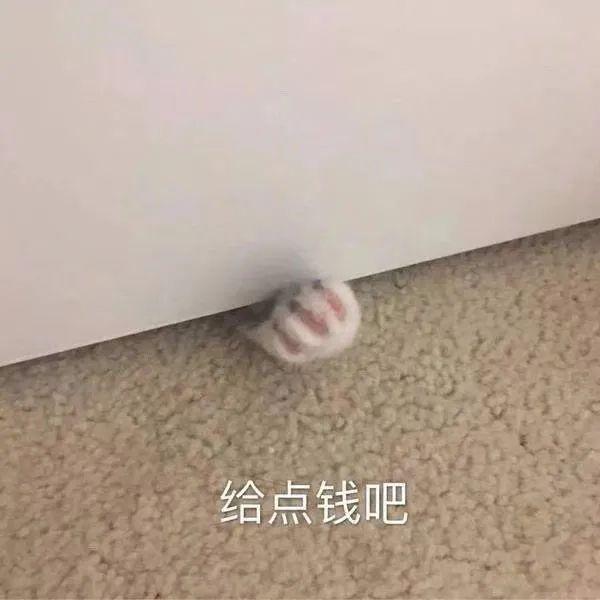 爸妈的聊天尺度可以有多大?笑到窒息哈哈哈哈哈哈!25 爸妈的聊天尺度可以有多大?笑到窒息哈哈哈哈哈哈!25