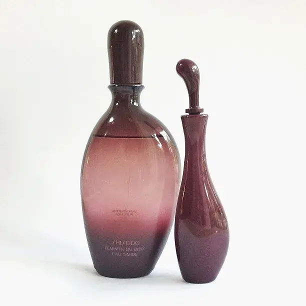 木质调香水芦丹氏林之妩媚落日余晖下的秋冬雪松林