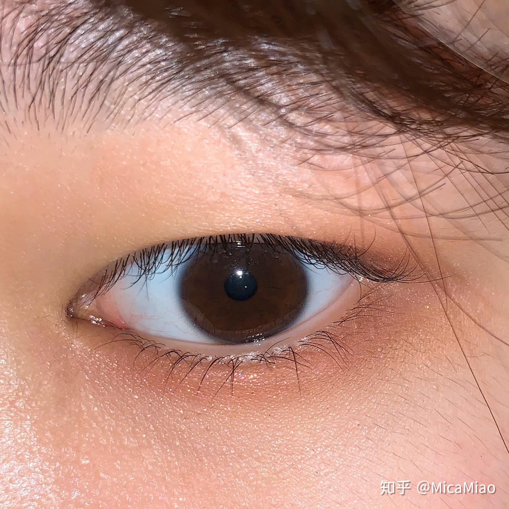 眼皮子薄 眼皮子薄正确生肖