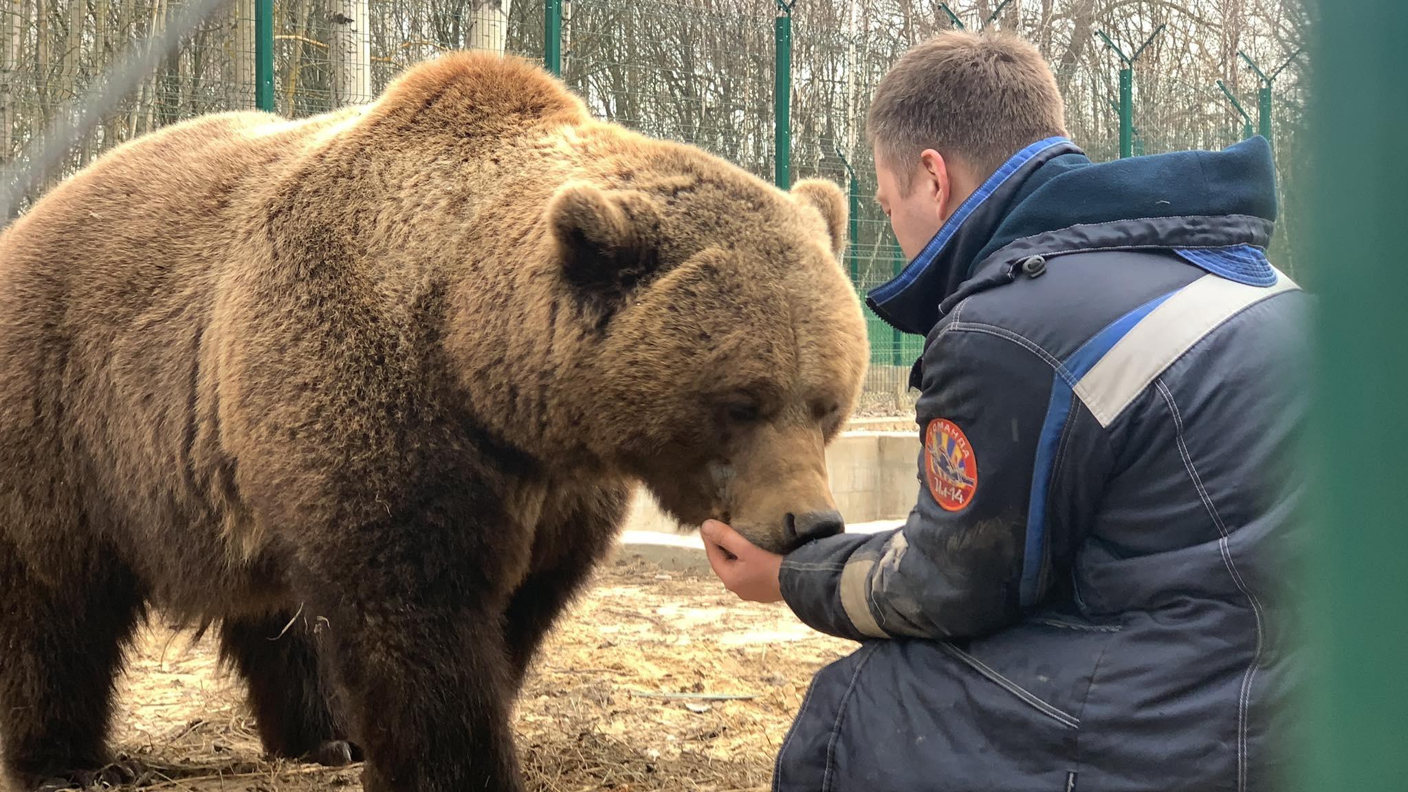 神奇动物战斗民族和棕熊拔河谁能赢