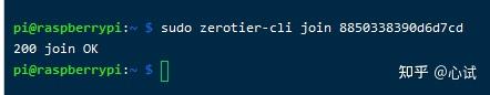 用树莓派搭建全功能NAS服务器(03):了解你的网络&内网穿透插图15 用树莓派搭建全功能NAS服务器(03):了解你的网络&内网穿透插图15