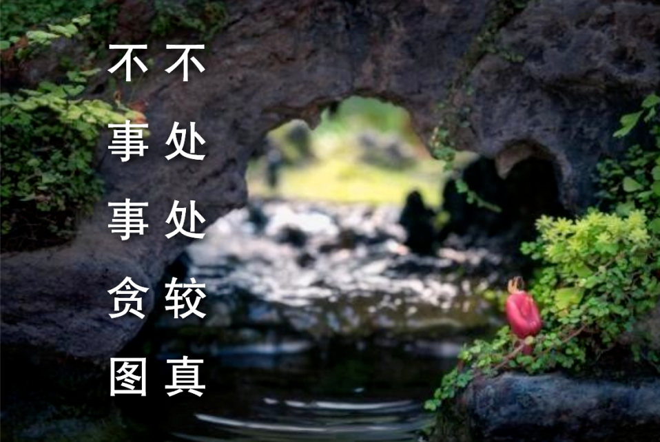 做人的最高境界:装傻 - 知乎