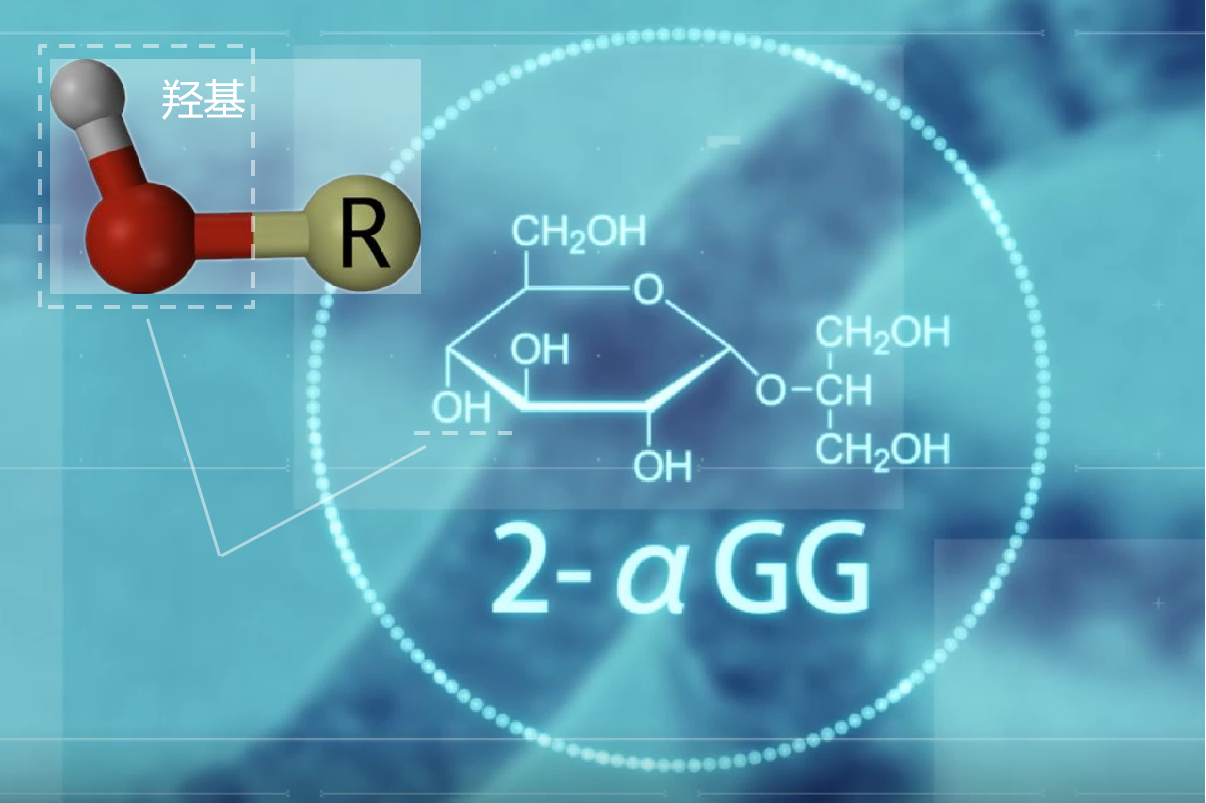 step 02多羟基结构锁水
