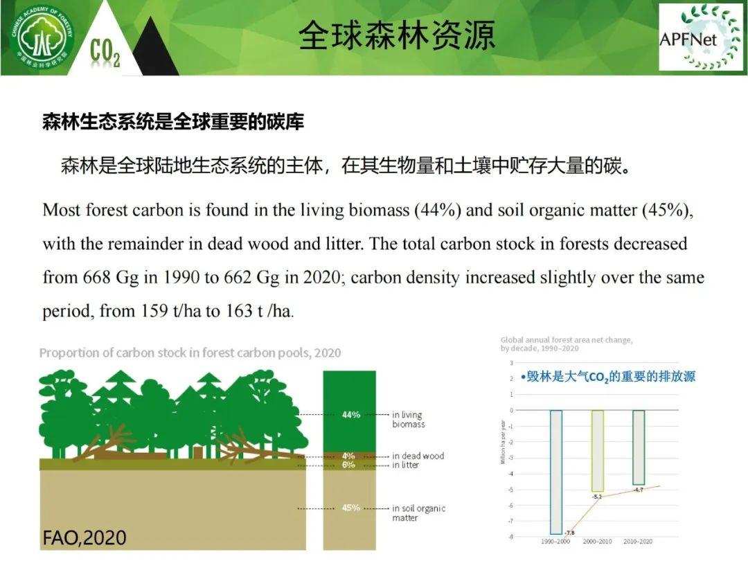 森林碳汇入门指南PPT:资源概况、林产品碳核算(附文件) - 知乎