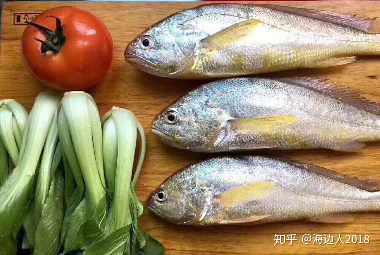 吃过最好吃的鱼是什么鱼？ - 知乎