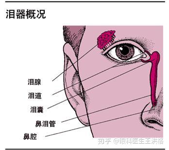 比如一週,幾天,幾小時 都要聽從醫生的囑咐 04 壓迫淚囊 理論上講 每