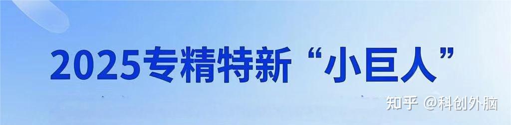 项目前瞻 | 2025年第七批专精特新小巨人认定标准深度对比,企业申报策略怎么优化,人工智能将带来哪些影响! - 知乎