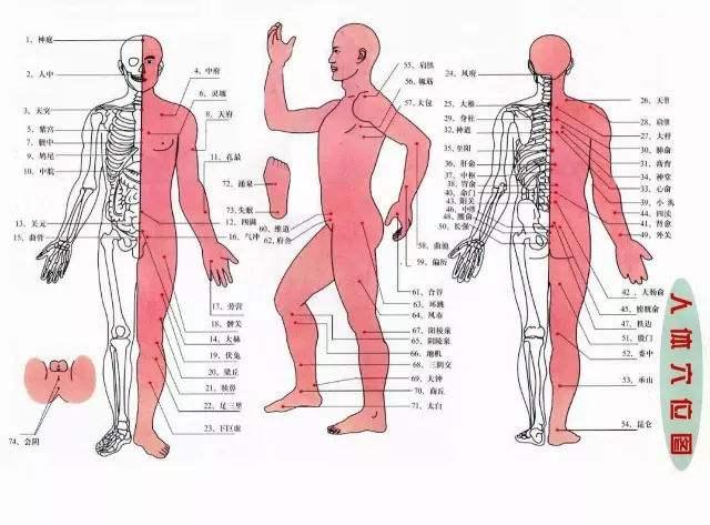 在人体有一些固定的明显标志