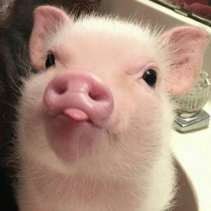 枣子和香蕉一起吃是什么样的体验? - 知乎