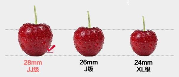 顺丰包邮智利顶级车厘子2斤装只卖85元还有机会免费尝