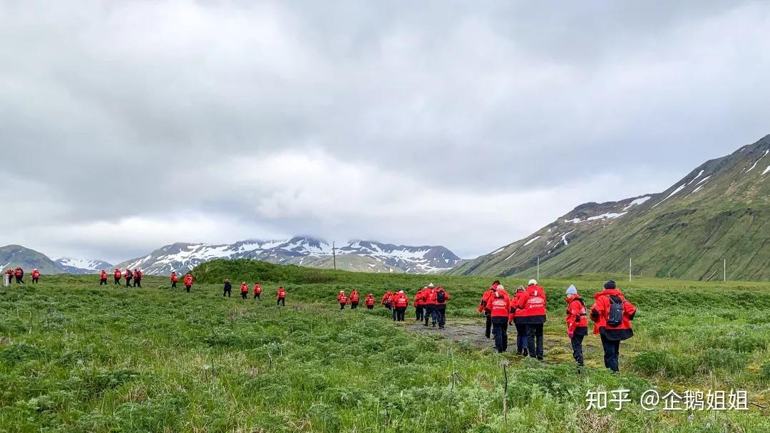 企鹅姐姐北行日记之阿图岛