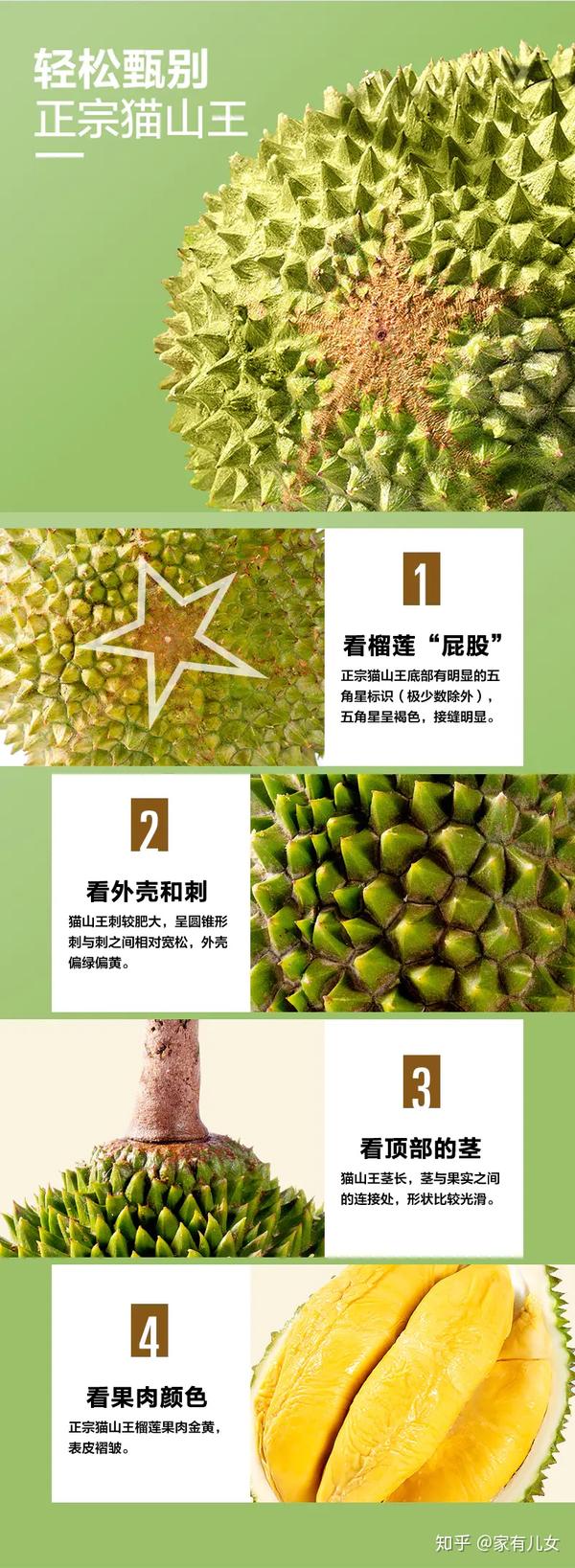 如何判断一颗猫山王榴莲正不正宗