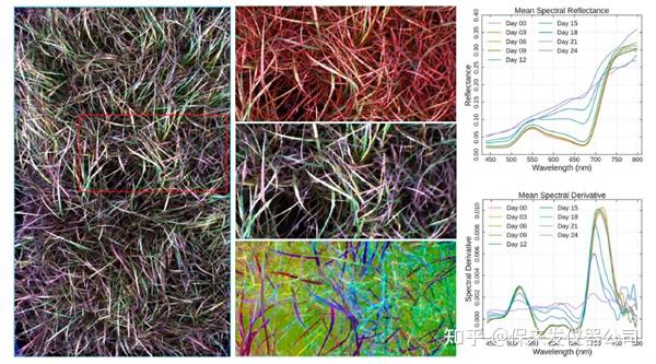 高光谱数据应用于植被监测的优势 - 知乎