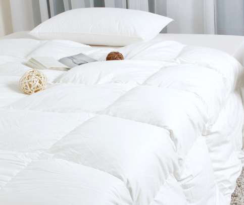 v2-f8687393f7436cc3e66ada889fda1d99_r.jpg