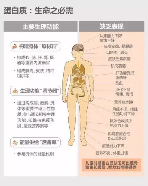 健康的减脂增肌 v2-f880620c003ace159afa10076432715d_r.jpg